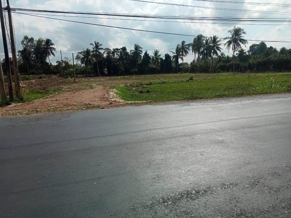 Bán Đất Mặt Tiền QL54 Vĩnh Long 6200m² - Sổ Đỏ Thổ Cư Sẵn Sàng