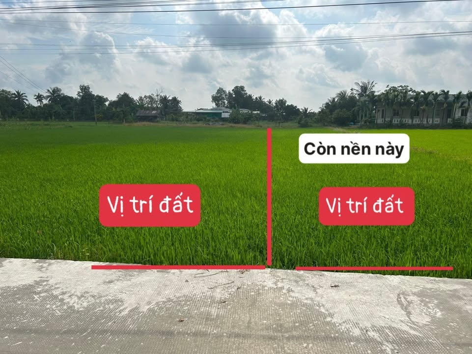 Đất nền sổ hồng 150m² mặt tiền Trương Văn Chuẩn, Tân Trụ - Giá 419 triệu