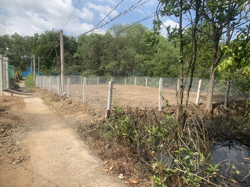 Đất Vườn Long Hựu Đông, Cần Đước 200m² - Sổ Đỏ Chính Chủ, Giá Tốt 430 Triệu