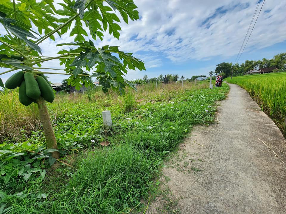 Đất thổ cư Tân Lân, Cần Đước 237m² - Sổ hồng chính chủ, giá 640 triệu