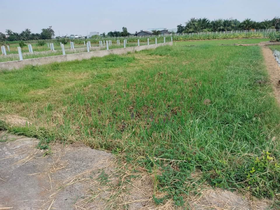 Đất nền Phước Lợi, Bến Lức 300m² - Sổ đỏ sẵn sàng, giá 1.2 tỷ