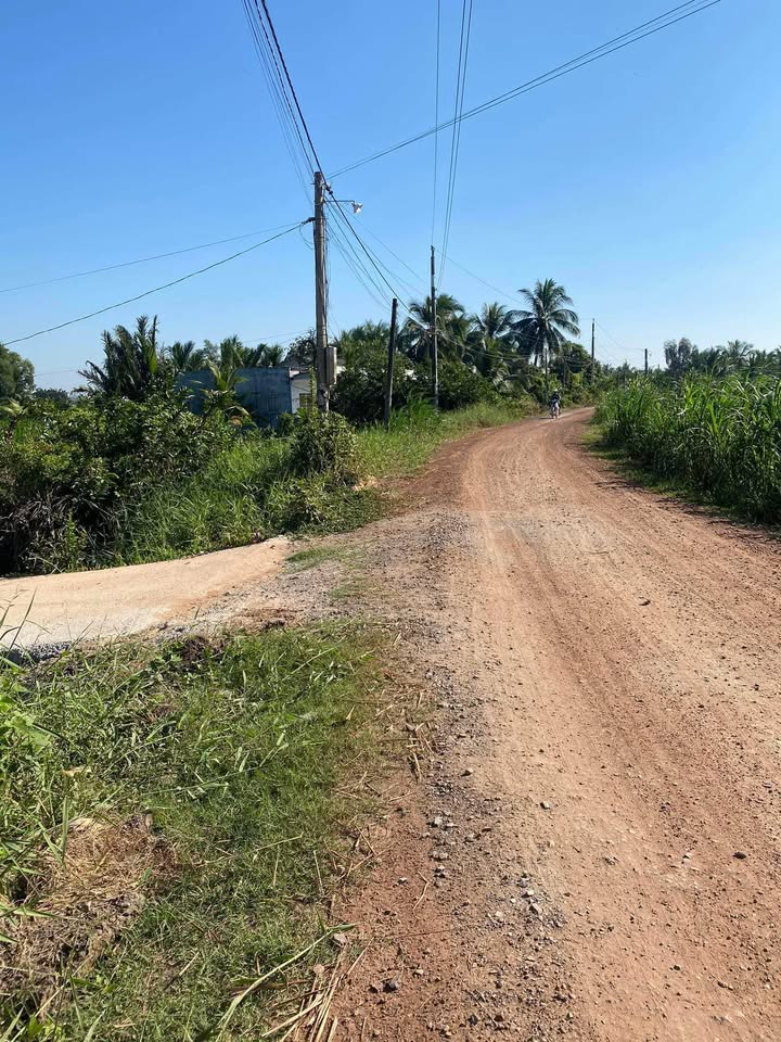 Đất Nền Lợi Bình Nhơn, TP. Tân An - 225m² Giá 1.17 Tỷ, Sổ Hồng Sẵn Sàng