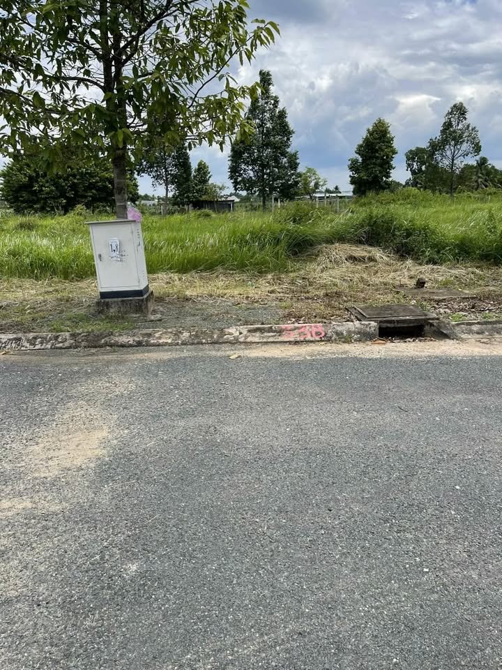 Bán Đất Nền 100m² KDC Việt Hóa, Tân An - Giá 950 Triệu