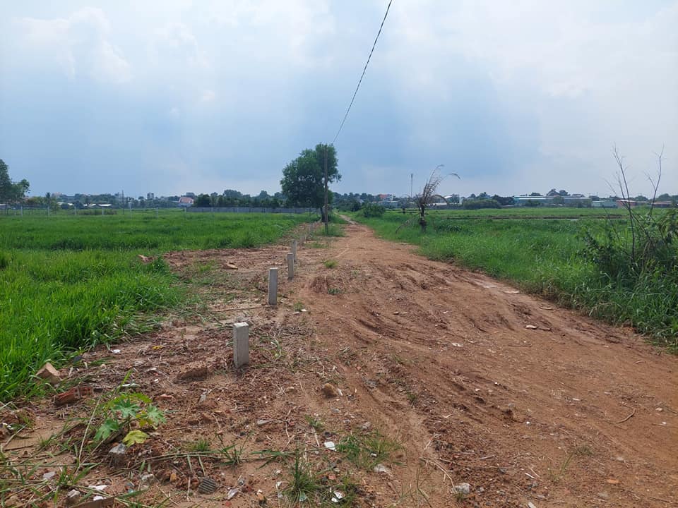 Đất Vườn 1101m² Tân Thạnh Đông, Củ Chi - Gần Chợ Sáng, Sổ Đỏ Chính Chủ