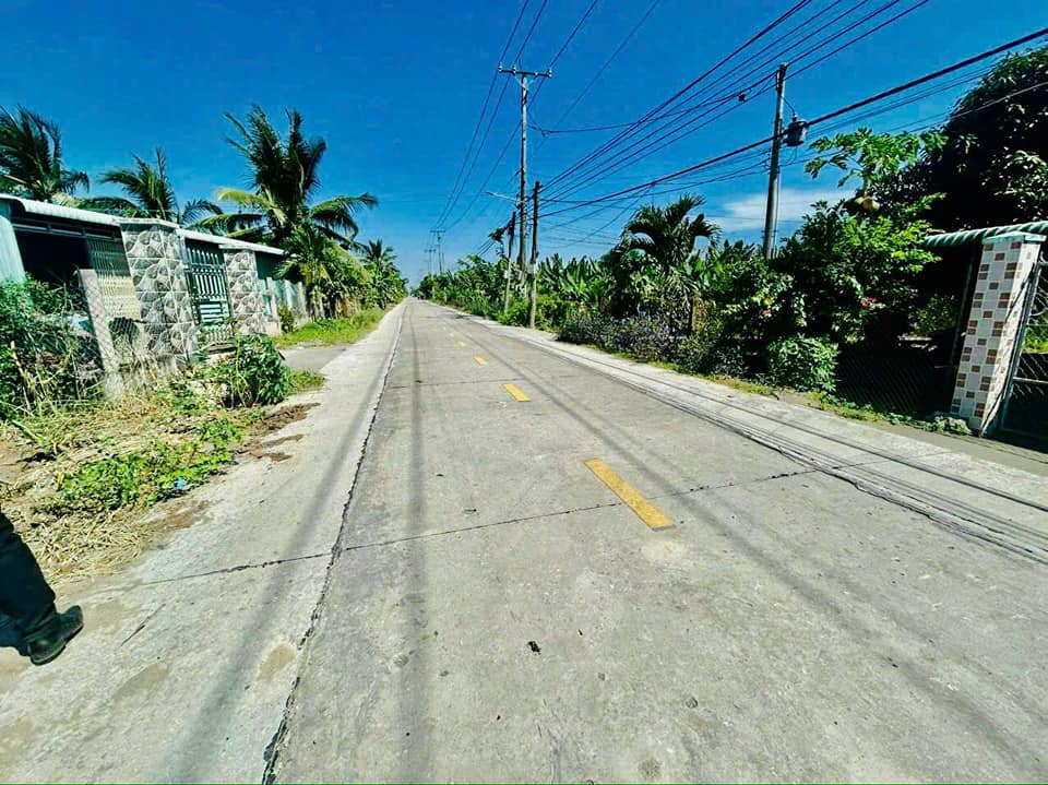 Bán Đất Mặt Tiền Lộ Dừa, Châu Thành, Long An - 180m² Thổ Cư, Giá 1.15 Tỷ