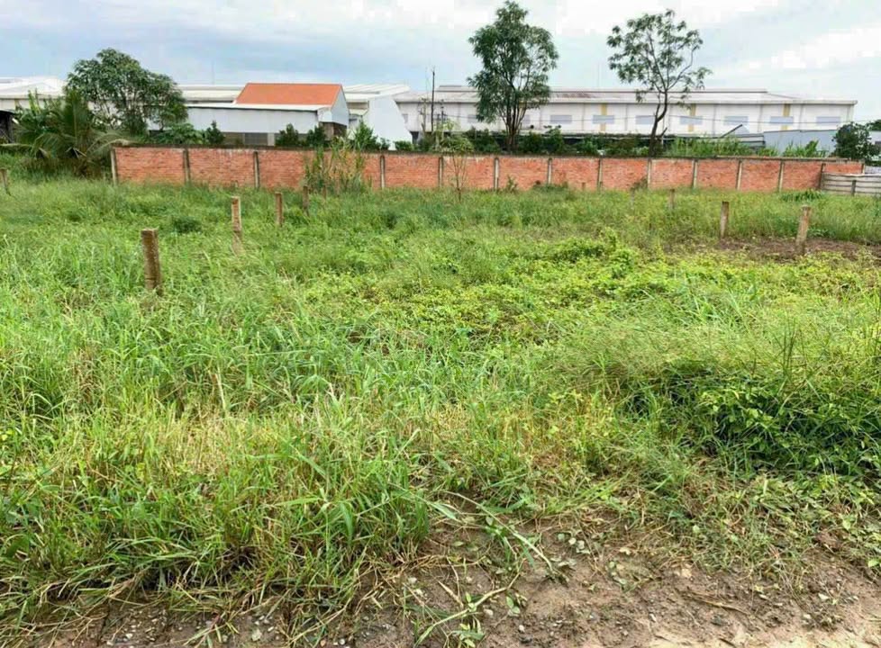 Bán Gấp Đất Thổ Cư 270m² Tân Trụ, Long An - Giá Rẻ 700 Triệu