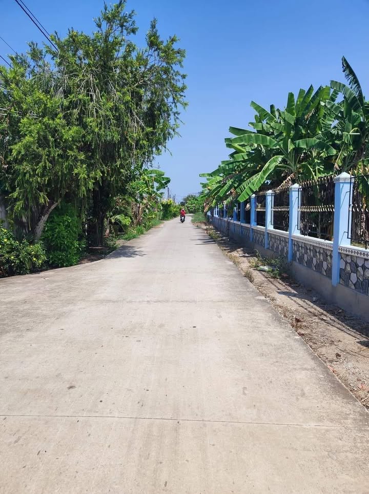 Đất Vườn 1000m² Hòa Phú, Long An - Giá Ngộp 390 Triệu, Sổ Đỏ Sẵn Sàng