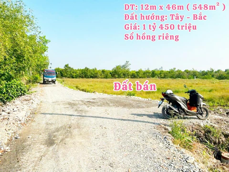 Đất nền Long An 548m² sổ hồng sẵn - Xây biệt thự, nhà vườn lý tưởng