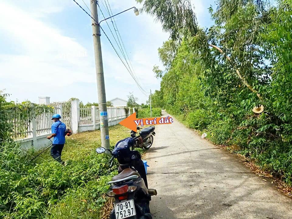 Đất thổ cư mặt tiền Đan Liên, Bến Lức 520m² - Sổ hồng sẵn, giá đầu tư 2.7 tỷ