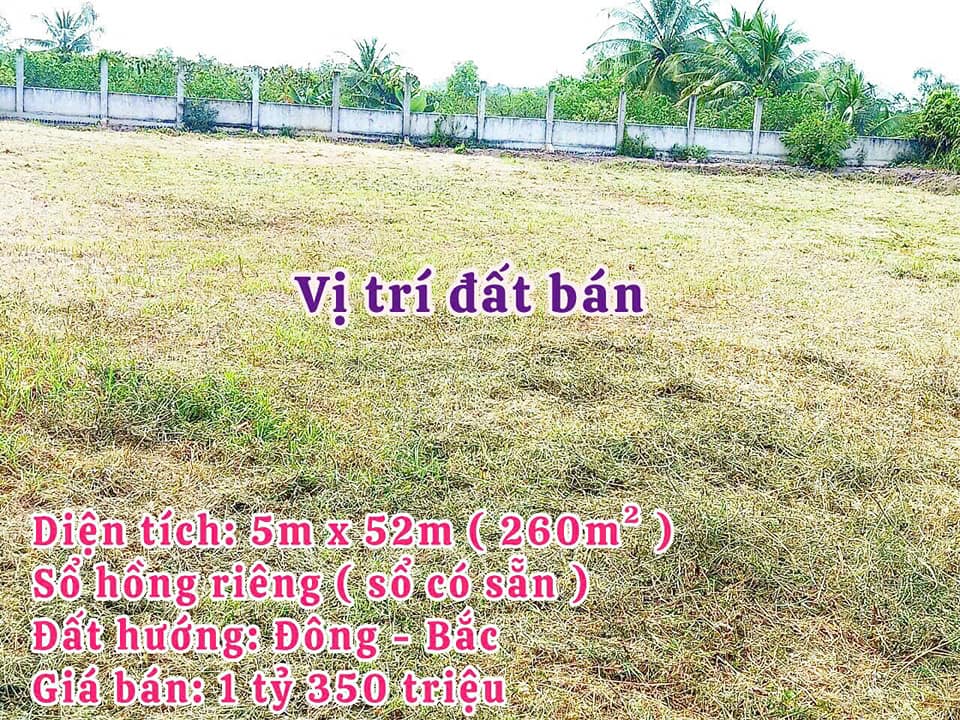 Đất nền mặt tiền Liên Ấp 7-10 Bến Lức, Long An - 260m², 1.35 tỷ, view sông