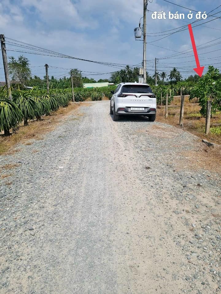 Bán Gấp Đất Lúa 1200m² Mặt Tiền Đường Đan 63m - Tân An, Long An