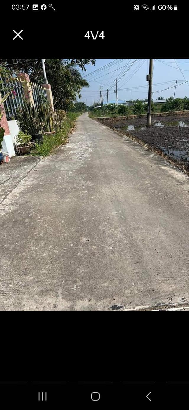 Bán Gấp Đất Vườn 275m² Bình Tâm, Tân An - Giá 1.2 Tỷ