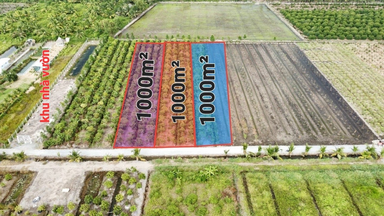 Đất Vườn Long An 3000m² Sổ Hồng Rõ Ràng - Giá Đầu Tư 580 Triệu