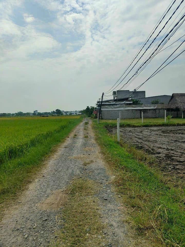 Đất Nền Đức Hòa 200m² - Sổ Hồng Sẵn, Giá 1 Tỷ Bao Phí