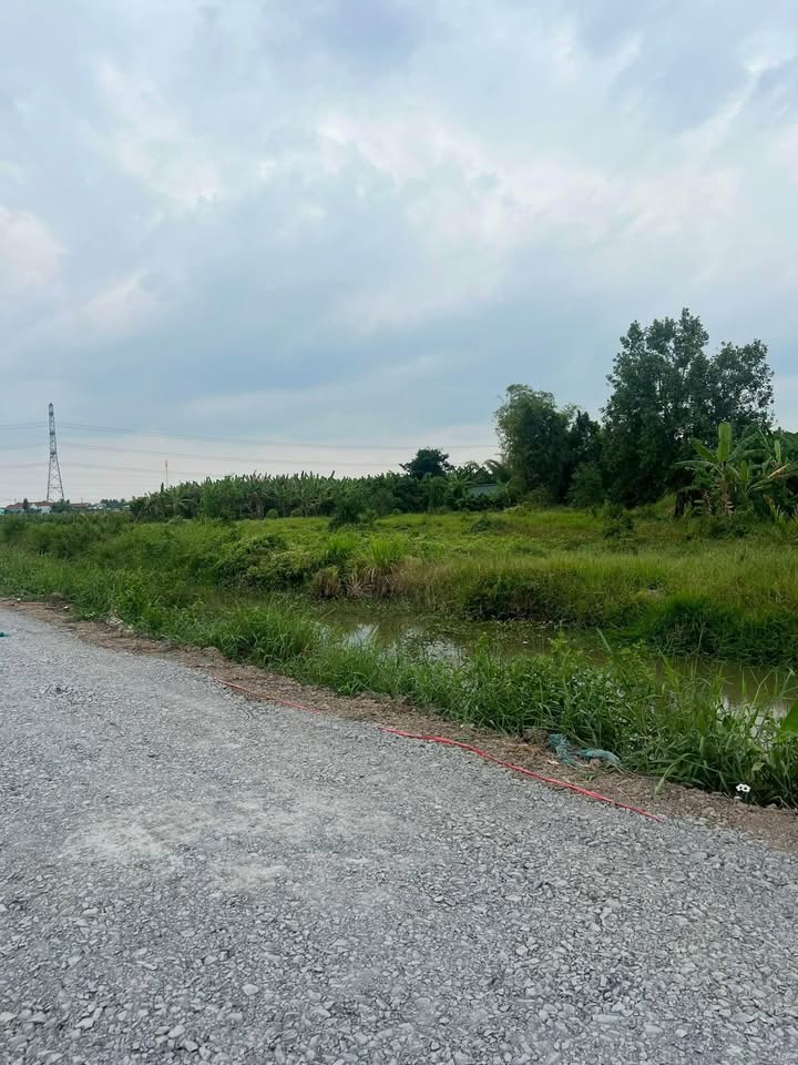 Đất Vườn Long An 2125m² Giá 1.45 Tỷ - Nghỉ Dưỡng, Đầu Tư Sinh Lời