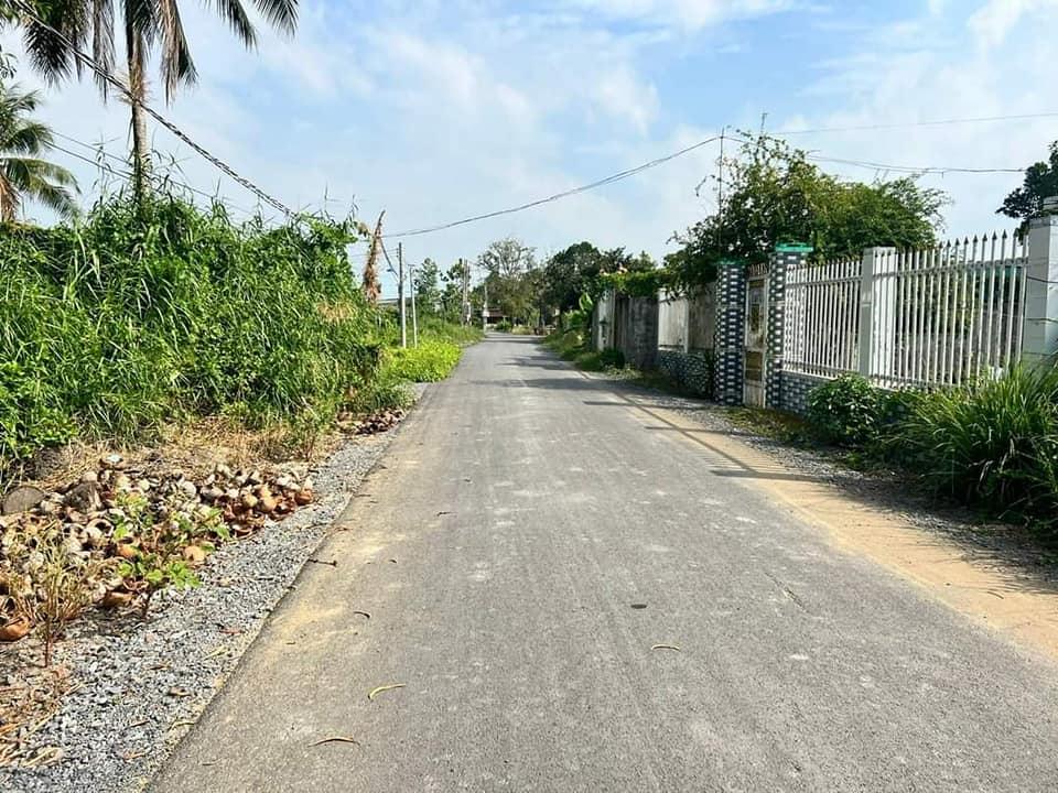 Bán Đất 1000m² Xã Phước Vân, Cần Đước - Sổ Đỏ, Giá 3 Tỷ, Tiềm Năng Phân Lô