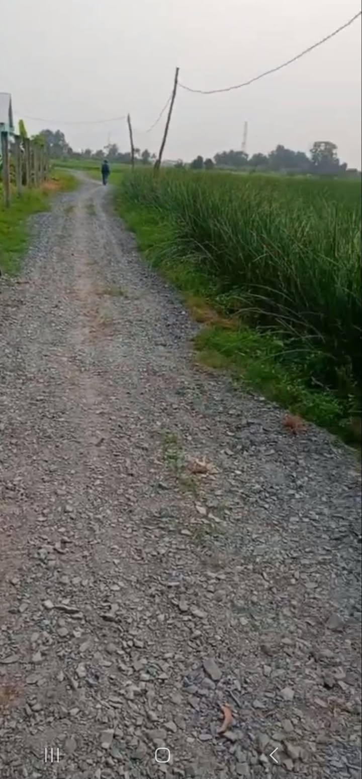 Đất Vườn Long An 5000m² - Sổ Đỏ Thổ Cư 300m² - Giá Đầu Tư 1.7 Tỷ