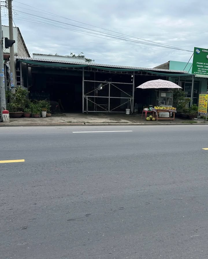 Đất nền mặt tiền ĐT 823 Đức Hòa 290m² - Sổ hồng thổ cư, giá đầu tư