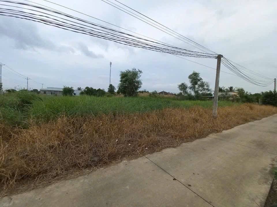 Bán Đất Vườn Long An, Cần Giuộc 1244m² - Giá Đầu Tư 4 Tỷ