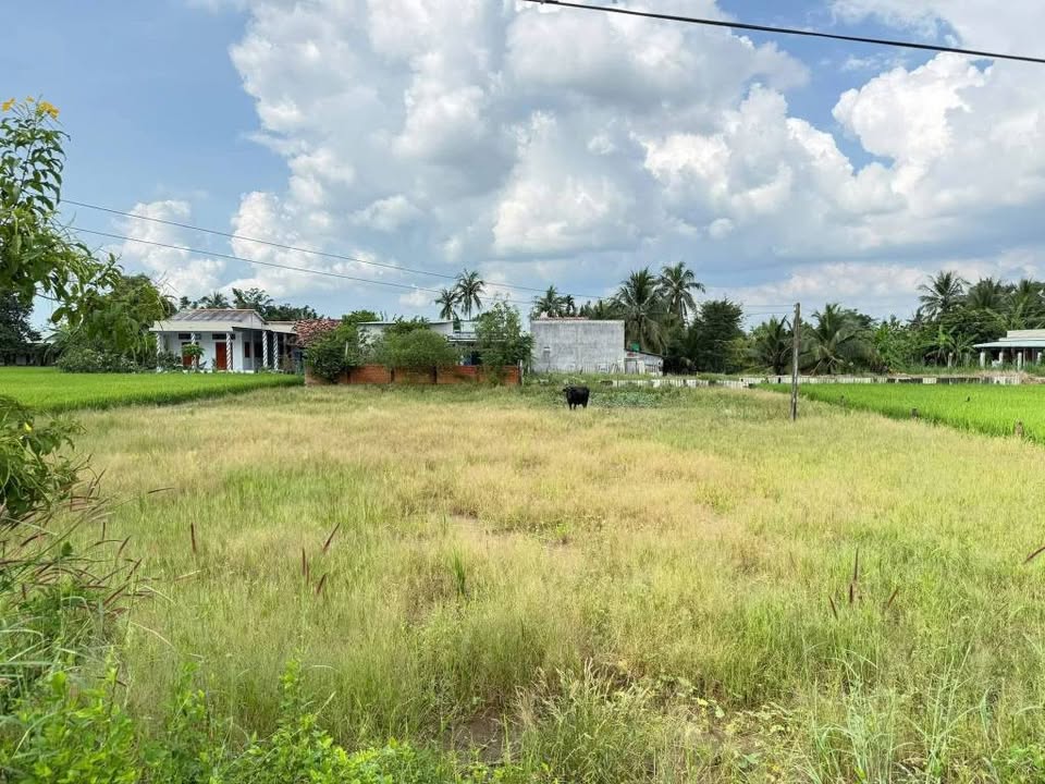 Đất nền mặt tiền nhựa Tân An, Long An - 140m² sổ hồng riêng