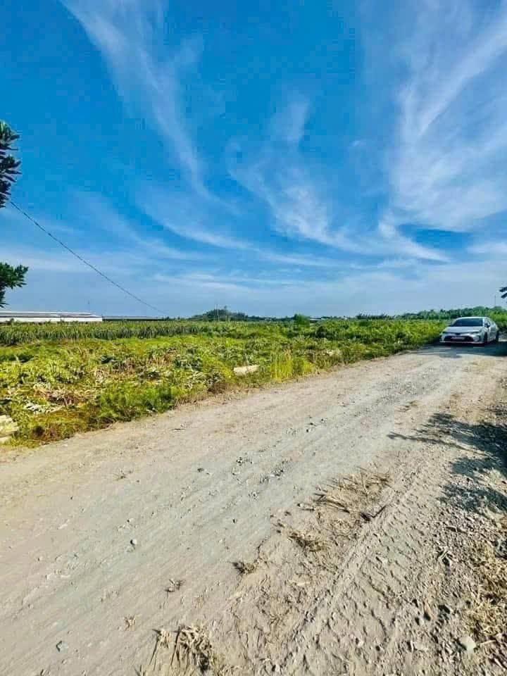 Đất Full Thổ Cư Mặt Tiền Đê Bao 270m² Châu Thành, Long An - Giá Tốt