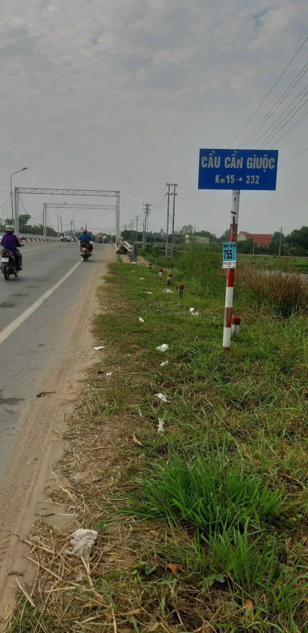 Đất Vườn Cần Giuộc 596m² - Sẵn Gò Cao, Đường Xe Hơi, Giá Tốt