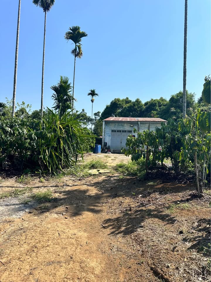 Đất Rẫy 23.000m² Mặt Tiền 2 Lối Đi - Thủy Điện Việt Nguyên, TP.HCM - Giá Đầu Tư 4.2 Tỷ