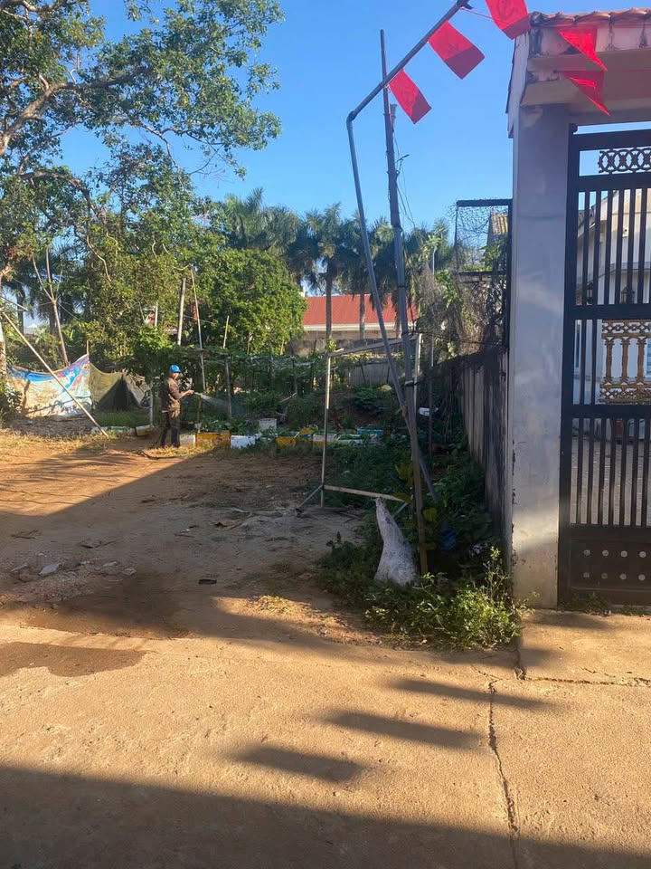 Đất nền Pleiku 315m² - Hướng Nam Tốt, Sổ Hồng Sẵn Sàng - Giá 1.9 Tỷ