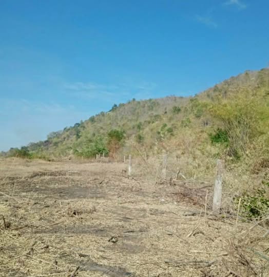 Farm 4.2ha Thuận Hòa, Bình Thuận - Sổ hồng chính chủ, gần Cao tốc