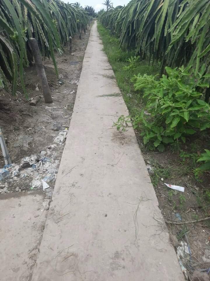 Bán Đất Vườn 3000m² Long An - Sổ Hồng Riêng, Giá Đầu Tư