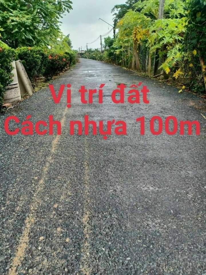 Đất nông nghiệp 1000m² Phước Tân Hưng, Long An - Giá Sốc 600 Triệu