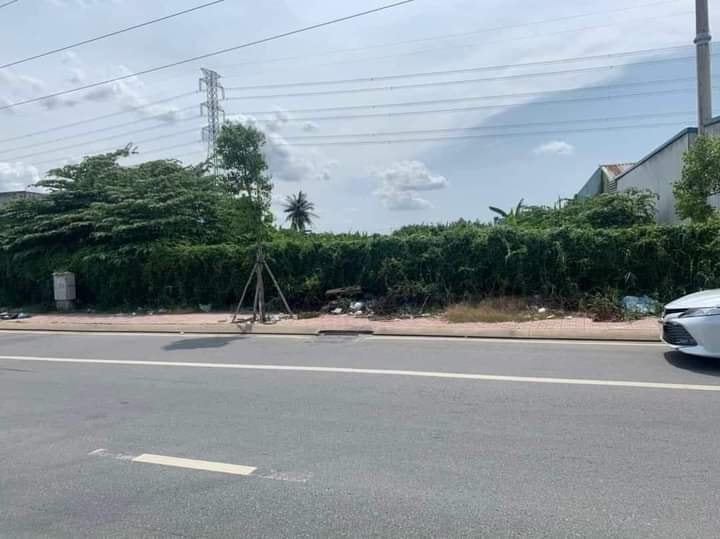 Đất Mặt Tiền QL1A Tân An, Long An - 2400m² Kinh Doanh Đắc Lợi