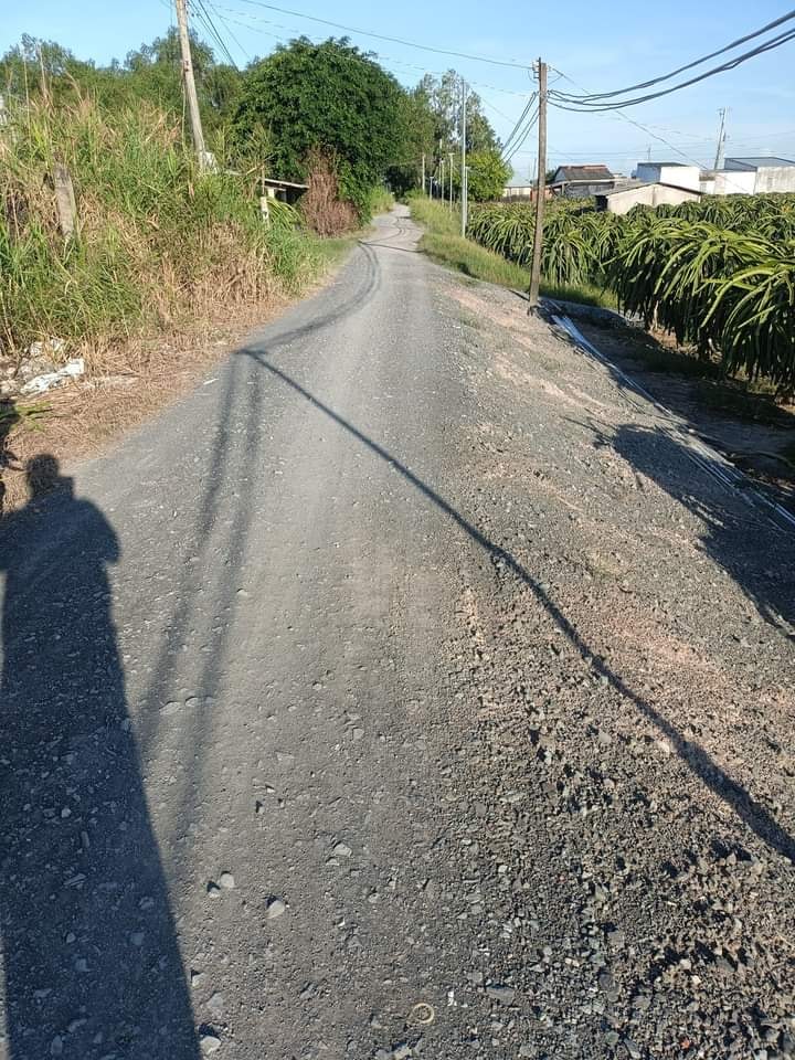 Đất Nền Vuông Vắn 525m² Mặt Tiền Sông Vàm Cỏ, Châu Thành, Long An - 1.5 Tỷ