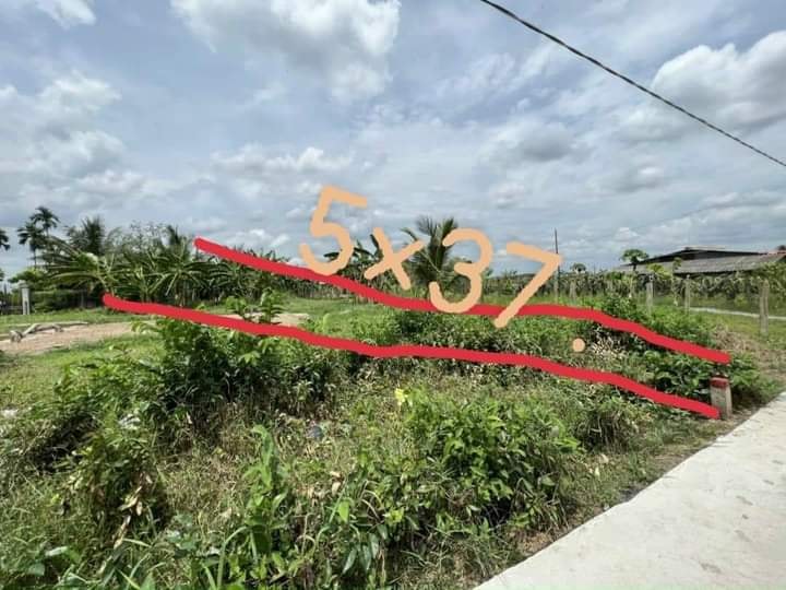 Bán Đất Thổ Long An 185m² Giá 350 Triệu - Sổ Đỏ Sẵn Sàng