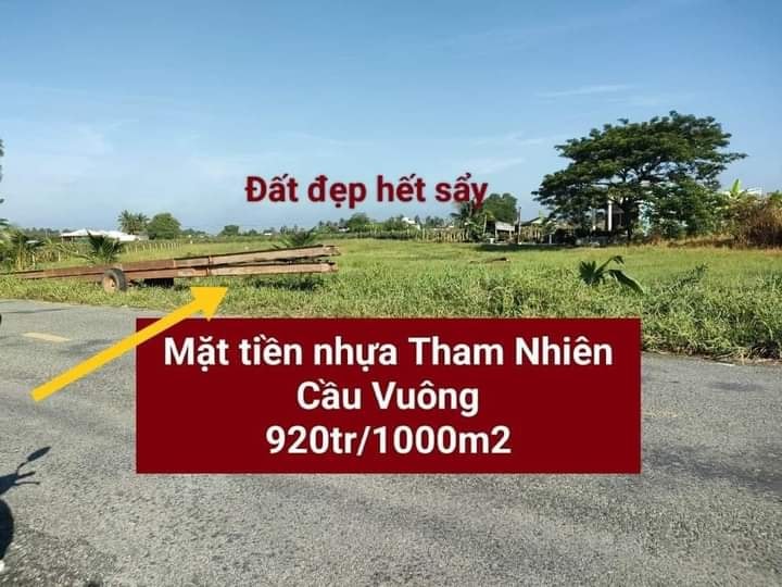 Đất Mặt Tiền Sổ Đỏ 14000m² Phước Tân Hưng, Long An - Giá Tốt 920 Triệu