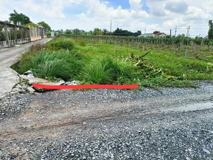 Bán Đất Mặt Tiền Đường Đá Xanh Tân An 120m² - Giá 500 Triệu