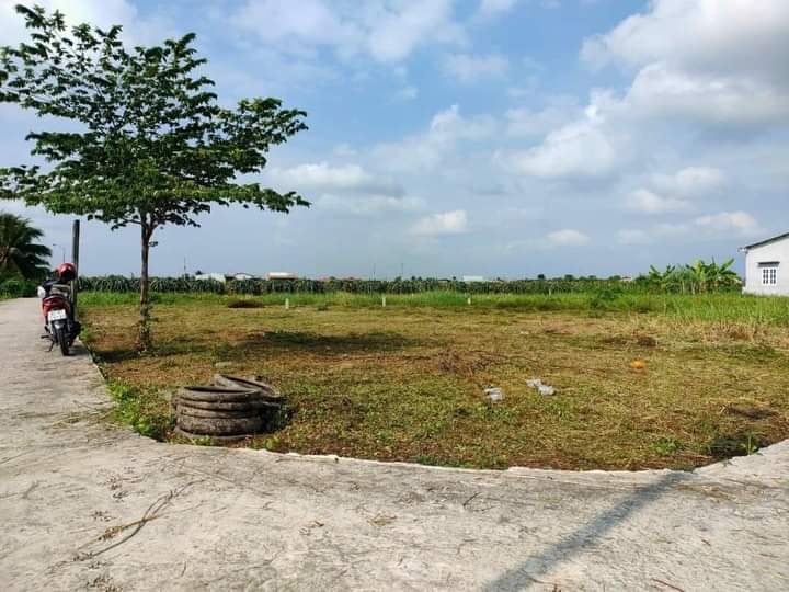 Đất Nền Long An 311m² - Sổ Hồng Rõ Ràng, Gần QL 50B