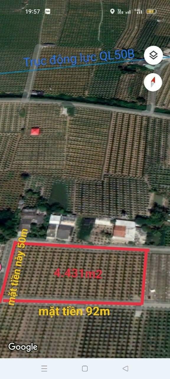 Đất Lúa Long An 4431m² - 3 Mặt Tiền Ô Tô - Giá Tốt 3.98 Tỷ