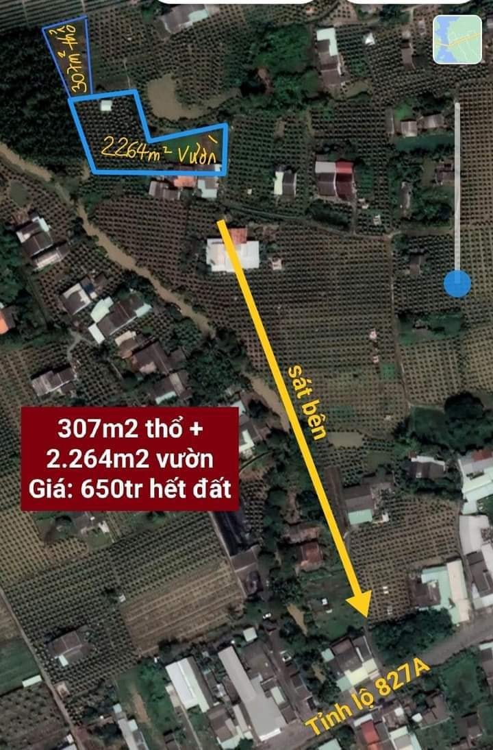 Đất Vườn Long An 2571m² Sổ Hồng Riêng - Giá 650 Triệu