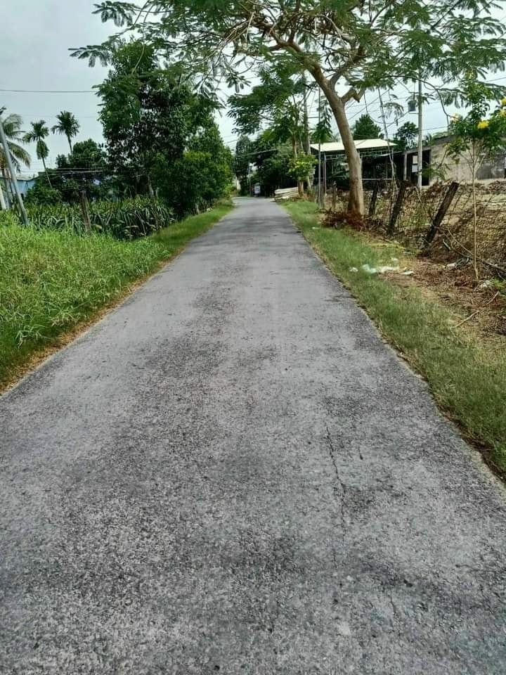 Đất nền Long An 14.426m² mặt tiền nhựa 30/4, hướng Đông - Cơ hội đầu tư sinh lời