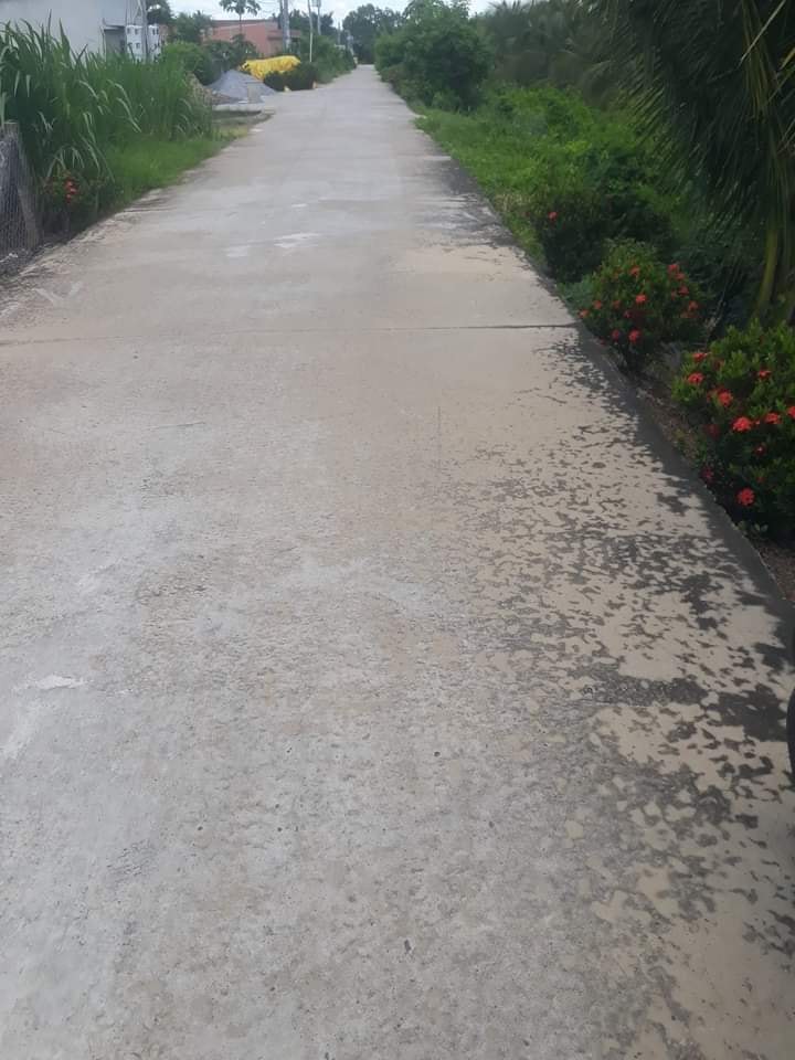 Bán Gấp Đất Vườn 3299m² Tỉnh Tây Ninh - Sổ Hồng Rõ Ràng