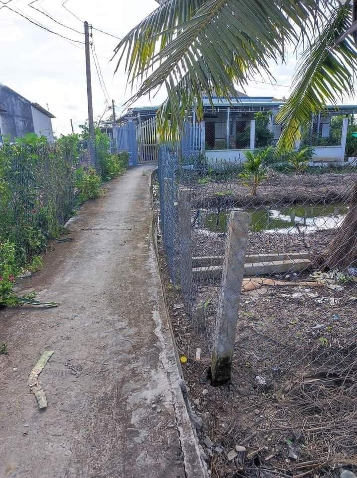 Bán Gấp Đất Vườn 1000m² Long An - Giá 700 Triệu, Trồng Dừa Sẵn