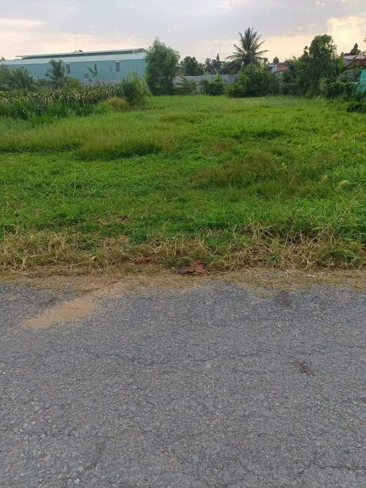 Đất Nền Mặt Tiền Phan Đông Sơ, Tân An - 2100m² Giá 4.5 Tỷ TL