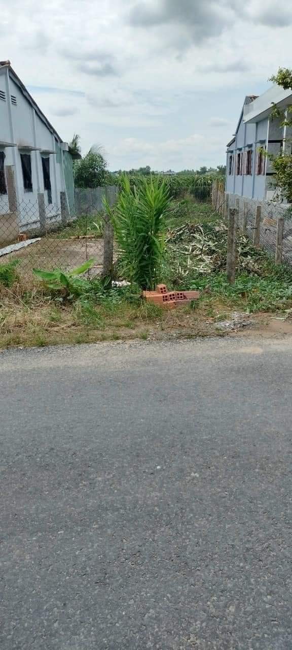 Đất Nền Mặt Tiền Trần Văn Giàu, Long An - 210m² Giá 1.45 Tỷ