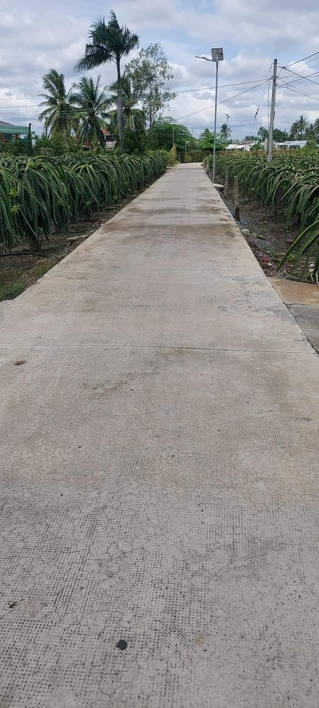 Bán Đất 1000m² Sổ Đỏ Tại Long An - Giá 950 Triệu