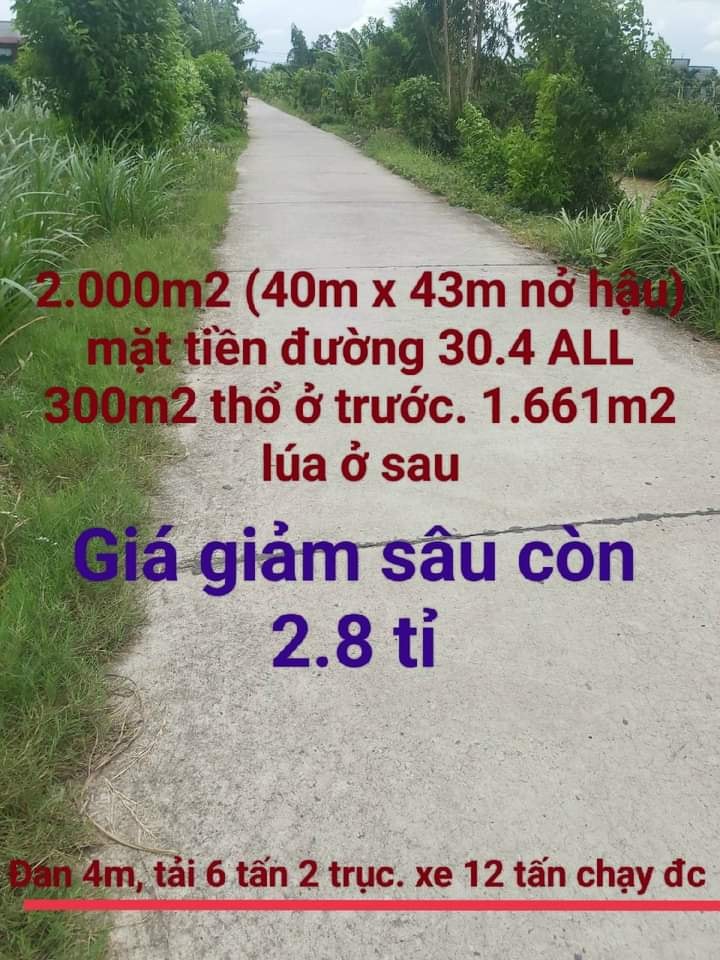 Đất Nền Long An 2000m² Mặt Tiền Kênh 30/4 - Giá Giảm Sốc 2.8 Tỷ