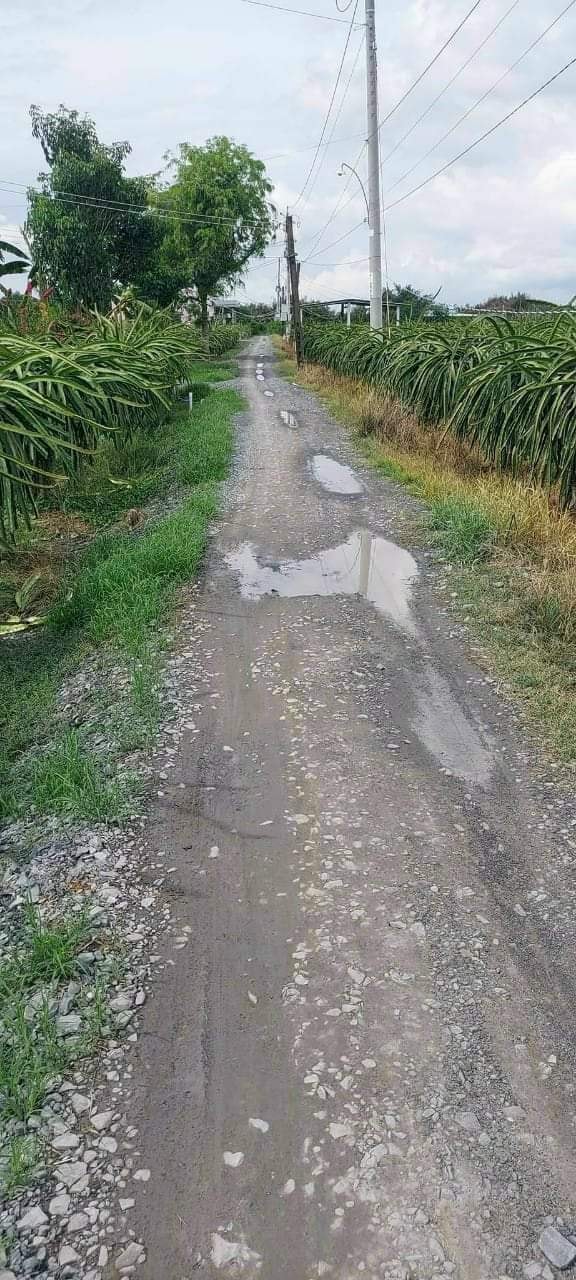 Đất Vườn Long An 14000m² - Mặt Tiền Rộng 200m - Giá Tốt 450 Triệu/1000m²