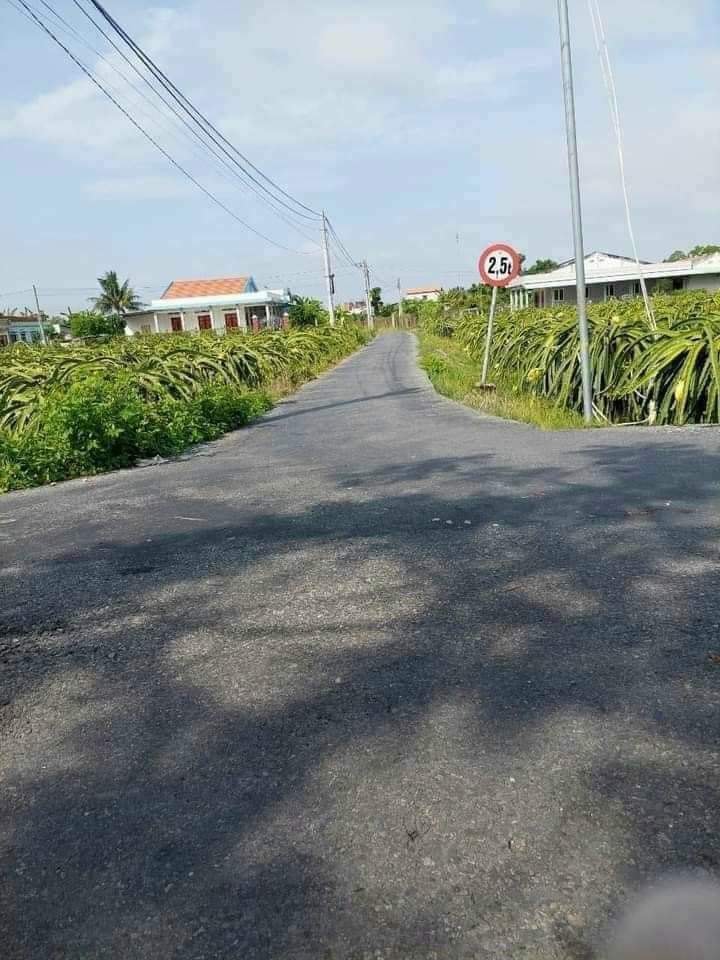 Bán Gấp Đất Thổ 125m² Châu Thành, Long An - Giá 460 Triệu