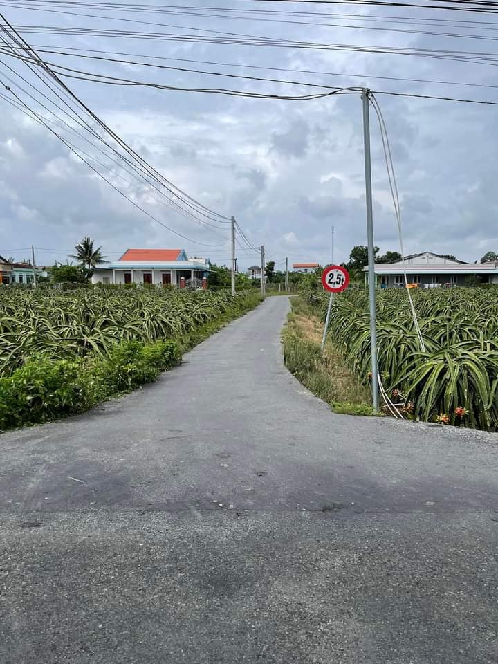 Bán Gấp Đất Thổ Luy, Châu Thành, Long An - 150m² Sổ Hồng Riêng