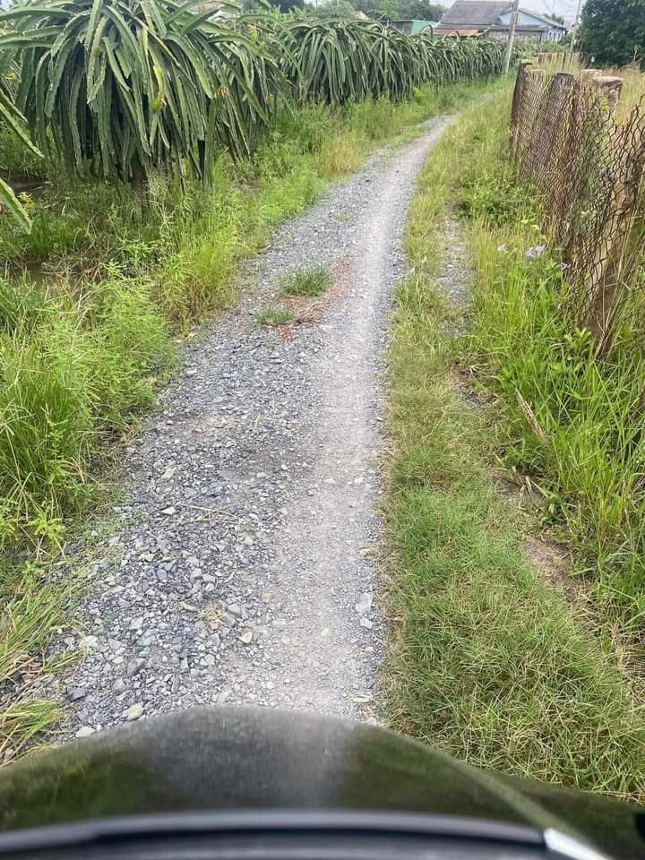 Bán đất vườn 500m² Long An - Sổ hồng riêng, giá chỉ 210 triệu